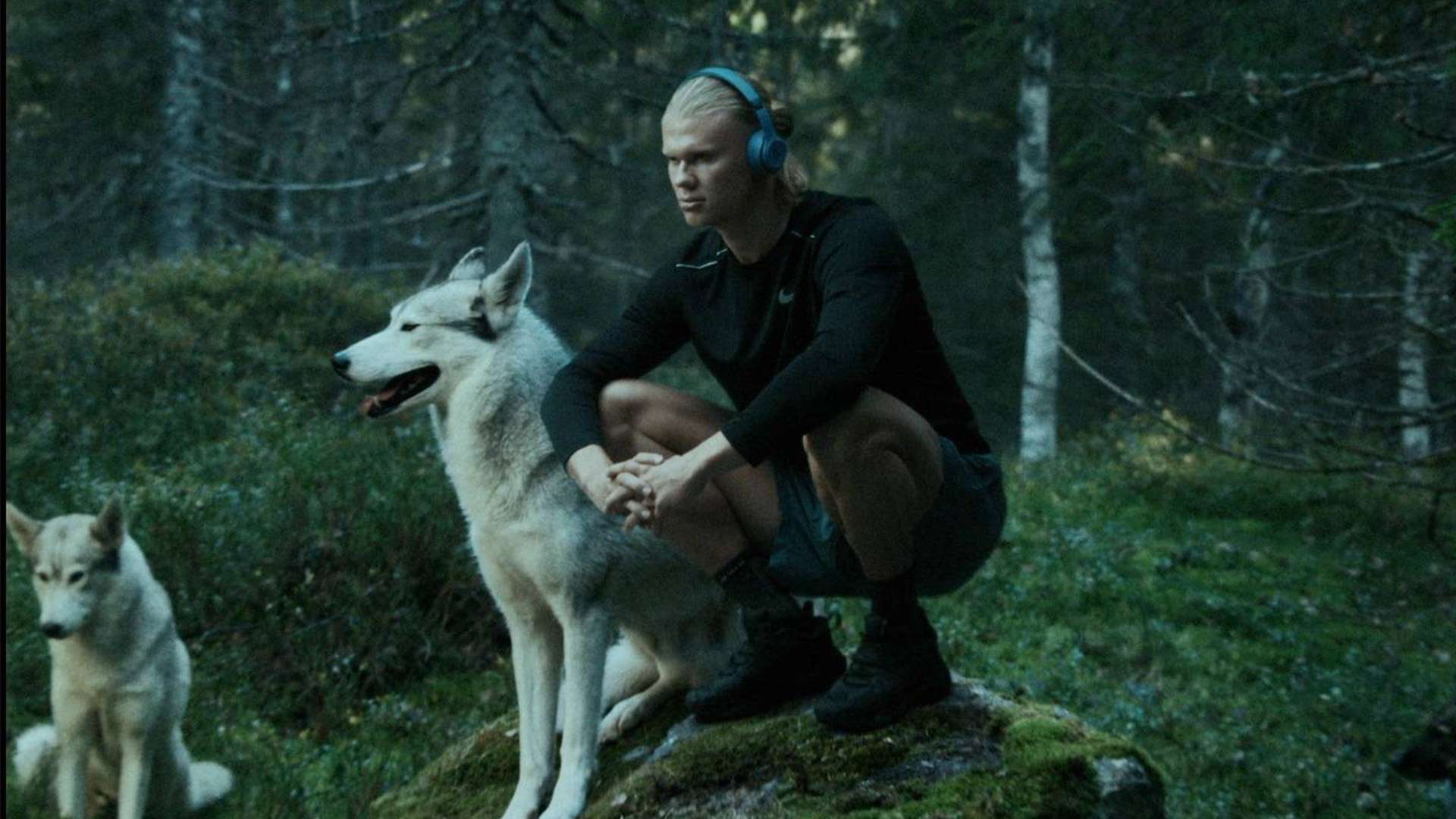 战术意识皆 战术意识皆